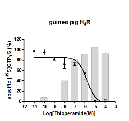 guinea pig H4R functional